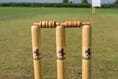 West Somerset Cricket League second division round-up