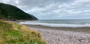 Volunteers for beach clean-ups wanted