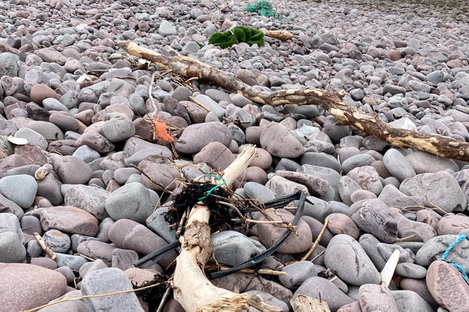 Litter can be seen on Greenaleigh Beach, near Minehead, where a clean-up is being organised.