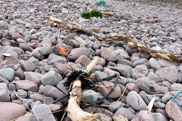 Litter can be seen on Greenaleigh Beach, near Minehead, where a clean-up is being organised.