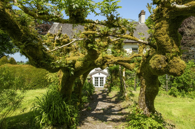 Rear gardens