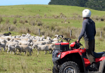 Advice after thefts of quad bikes from farms