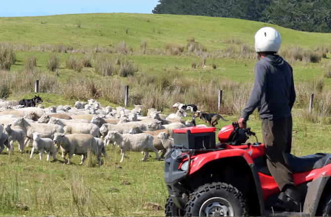 Quadbikes and other equipment has been stolen from farms on Exmoor. 