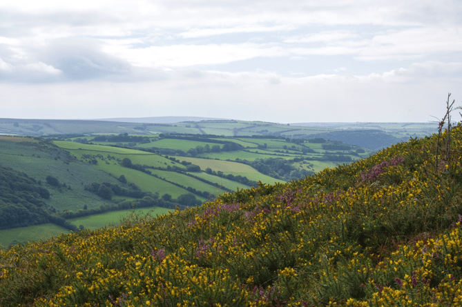 Exmoor landscape