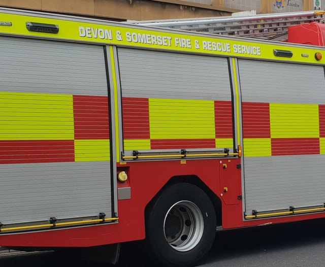 Local fire services visit over 24,000 false fire alarms since 2019