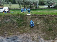 Coastguards rescue dog which fell over cliff