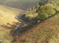 Exmoor National Park to celebrate 70 years of natural beauty