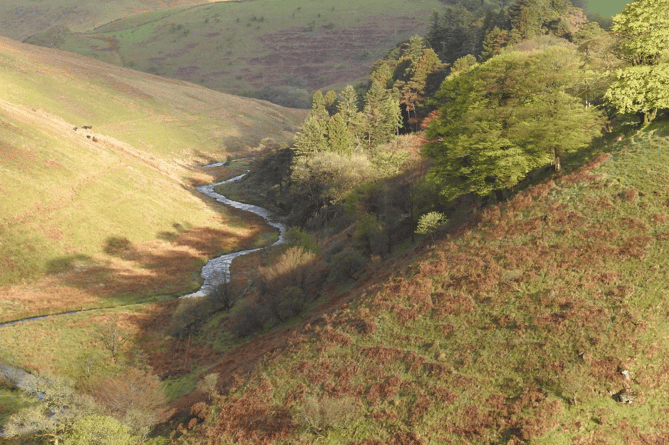 Exmoor Society Photography