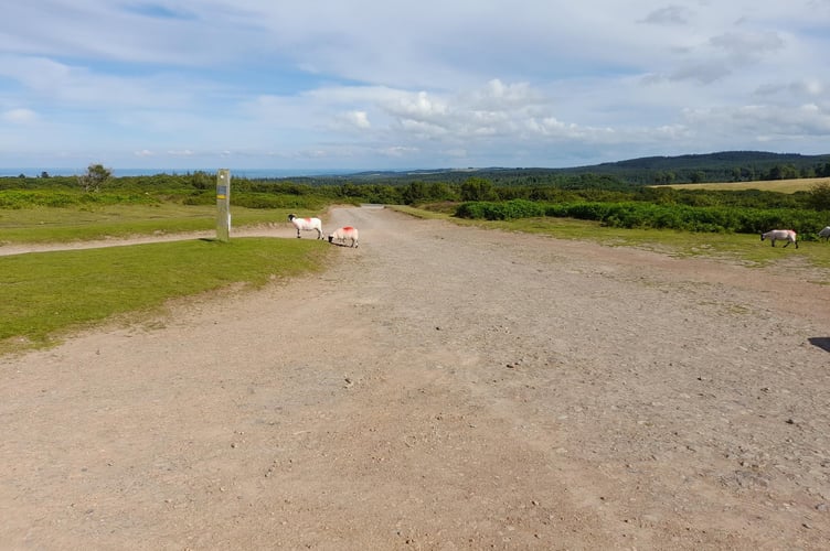 A view of Wilmot's Pool car park on the Quantock Hills. 