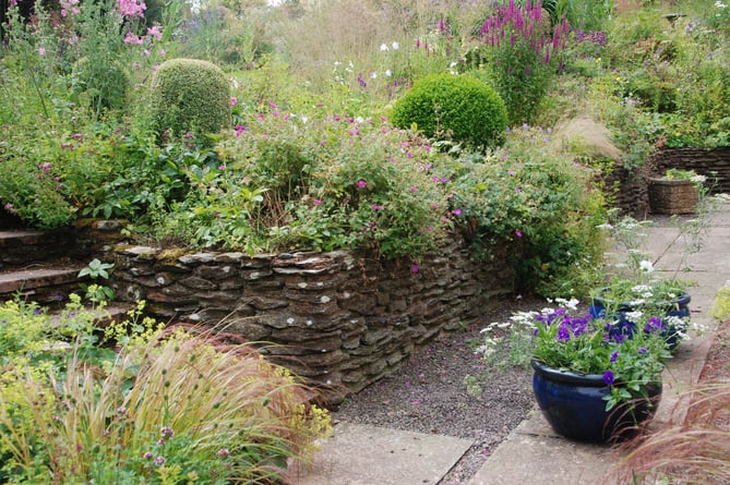 A view of Elworthy Gardens which is opening for the National Gardens Scheme on July 30.