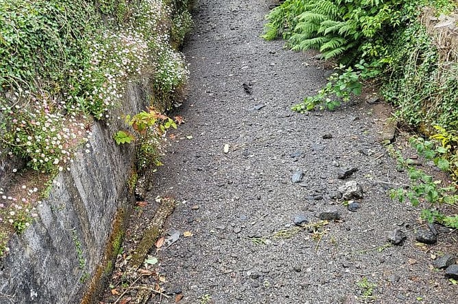 The dried-up leat in Dulverton last month.