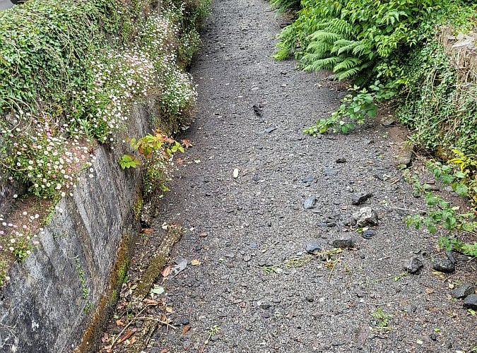 The dried-up leat in Dulverton last month.