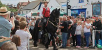 Lloyds Bank black horse Amadeus stars at street market