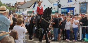 Lloyds Bank black horse Amadeus stars at street market