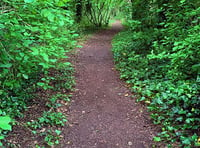 Volunteers sought for village litter pick