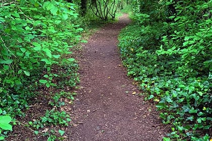 Volunteers sought for village litter pick