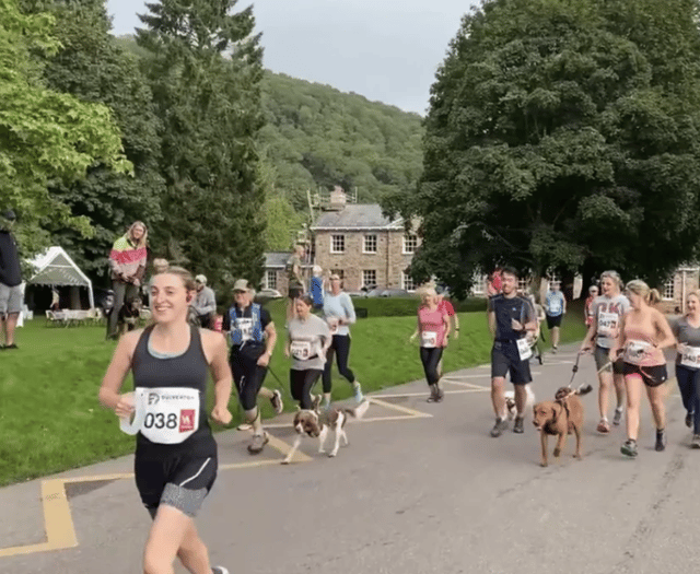 The Dulverton trail fun run and canicross enters its fourth year