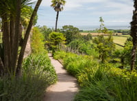 Experience the magic of its Dunster Castle gardens after hours