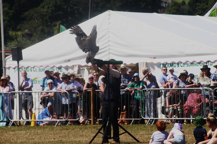 The 176th Dunster show a great success