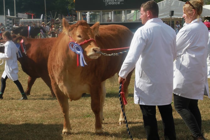 The 176th Dunster show a great success