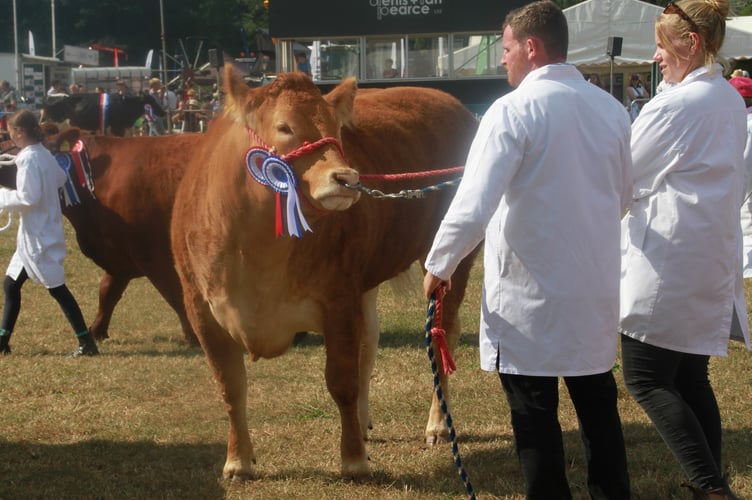 The 176th Dunster show a great success