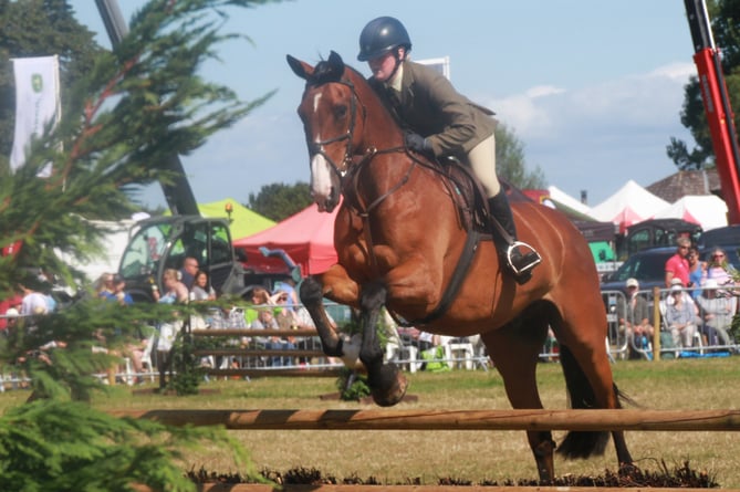 The 176th Dunster show a great success