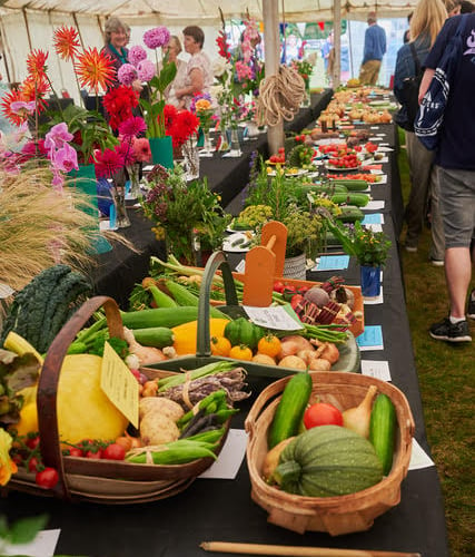 A huge range of produce was on display (PHOTOS: Courtesy of Ian Iles and Wiveliscombe Show).