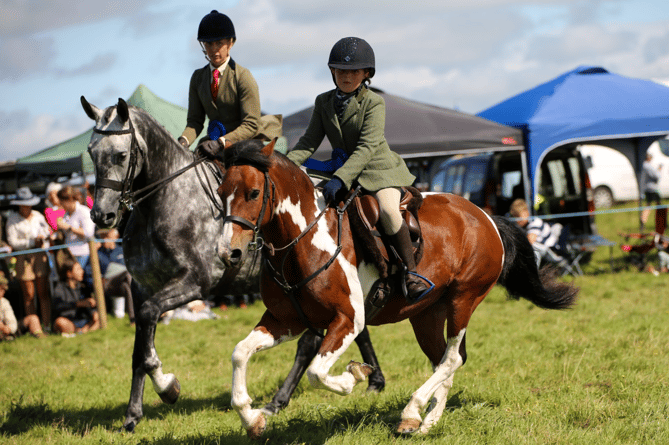 Judge Will Bryer riding in ridden hunters