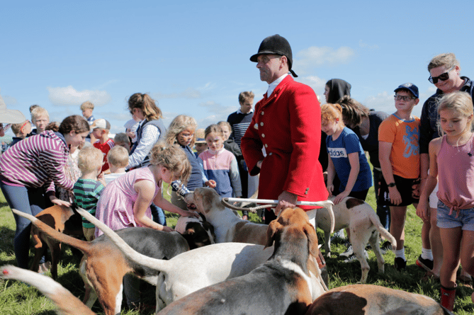 Children enjoy getting up close and personal with the Devon and Somerset Staghounds