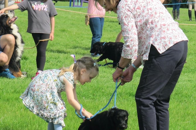 The dog show was a popular event