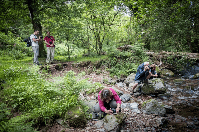 What's On: Adventurous photo walk in the beautiful Horner Woods of Exmoor