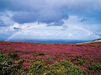 Patient treatment plans to include “connection with nature”