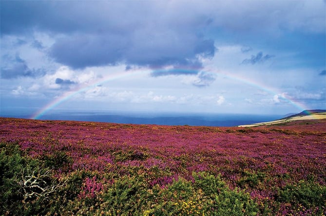 Exmoor (Photo: Exmoor National Park)