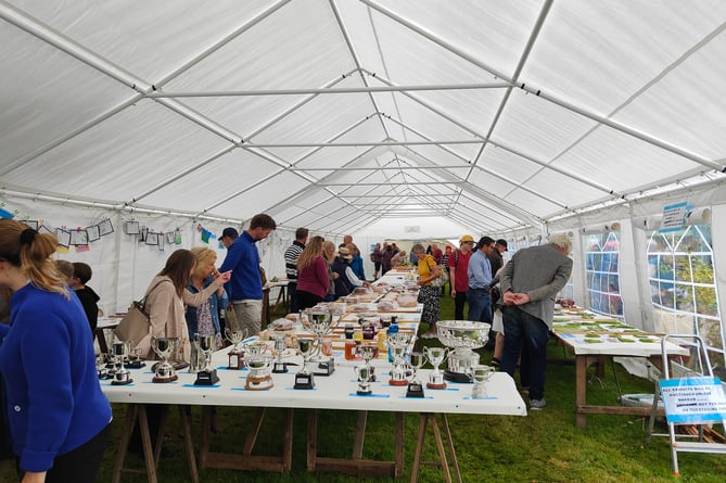 Exford Flower and Produce Show (Photo: Exford Flower and Produce Show Committee)