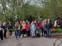 Celebrations as EDF scraps Hinkley Point saltmarsh plan