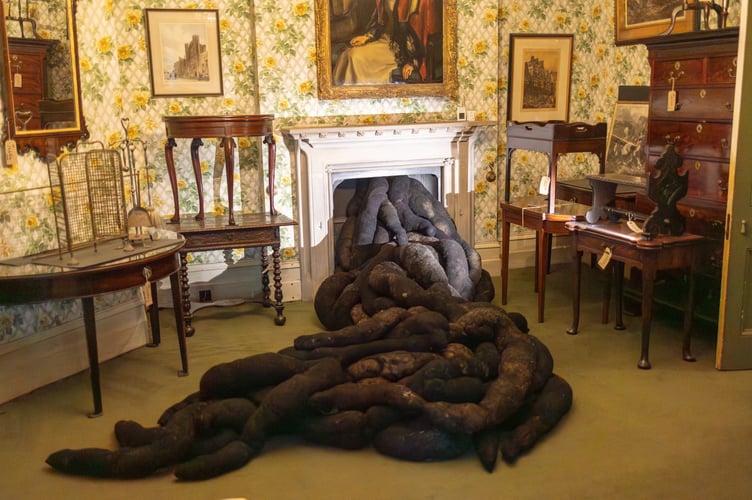 Nicola Turner's art piece â'The Uninvited Guest from the Unremembered Past'' in Tyntesfield House in Somerset. An art installation at a National Trust house has caused a stink - with some claiming it looks like ''a big pile of poo''. Called â'The Uninvited Guest from the Unremembered Past'' the new exhibition is at Tyntesfield House in Somerset. The pieces by artist Nicola Turner are made of organic âdeadâ materials - furniture legs, wool and horsehair and are âwinding their way around the houseâ. But some onlookers say one piece in particular coming out of the fireplace looks like a pile of poo. 