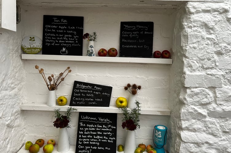 Coleridge Cottage, Somerset, will celebrate Apple Day on October 26 (Photo: National Trust Images / John Millar)