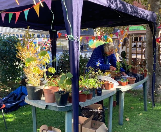 Minehead Climate Fair is a phenomenal success