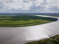 Hinkley Point C saltmarsh described a 'disaster' by MPs