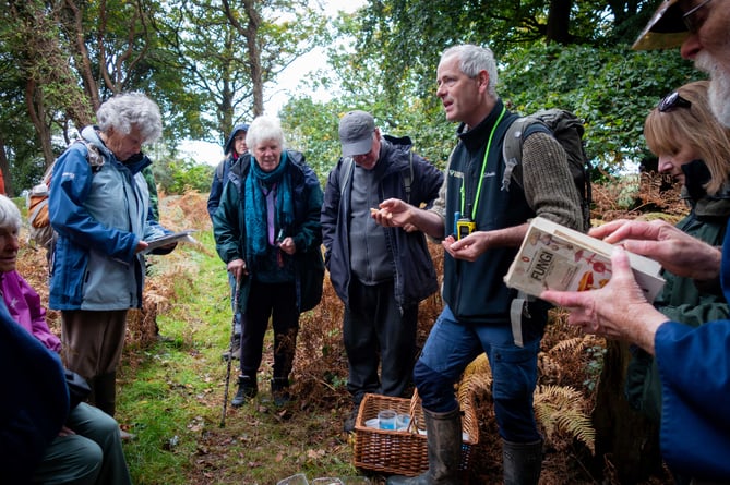 Scenes from last years' "Fantastic Fungi & Lichens" events Photos Minehead Coast and Development Trust
