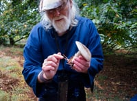 Nature activities for all among highlights of 'Fantastic Fungi' event