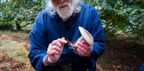 Nature activities for all among highlights of 'Fantastic Fungi' event