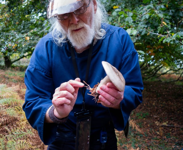 Nature activities for all among highlights of 'Fantastic Fungi' event