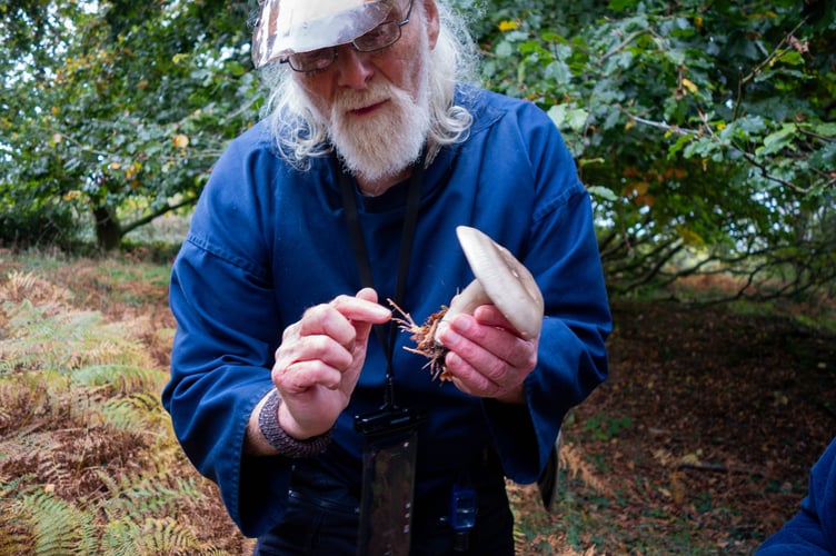 Scenes from last years' "Fantastic Fungi & Lichens" events Photos Minehead Coast and Development Trust
