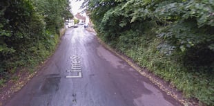 'Urgent' appeal after woman, 40s, sexually assaulted in Nether Stowey