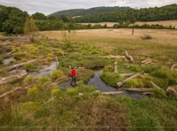  Progress report on National Trust pioneering nature project