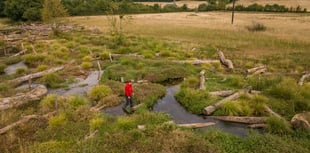  Progress report on National Trust pioneering nature project