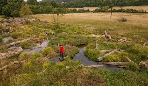  Progress report on National Trust pioneering nature project