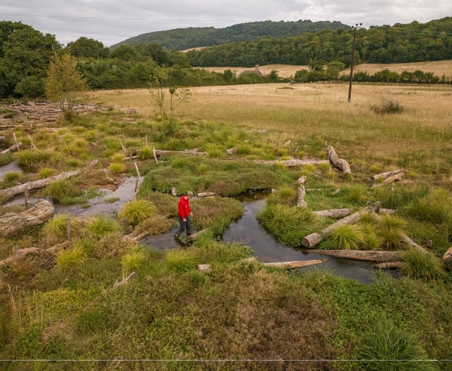  Progress report on National Trust pioneering nature project