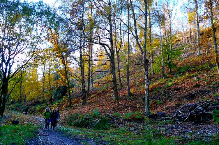 Weacombe Valley (Photo: Martin Hesp)